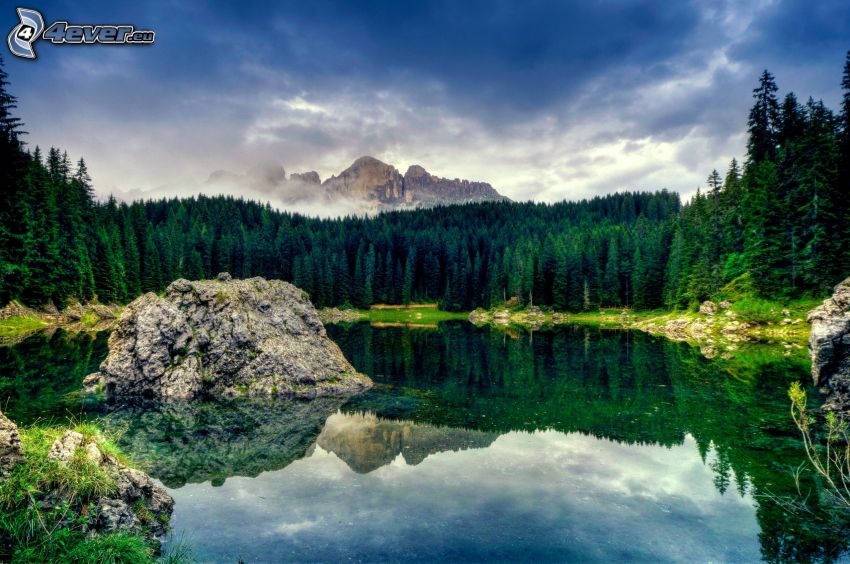 lac dans la forêt, reflexion, montagne