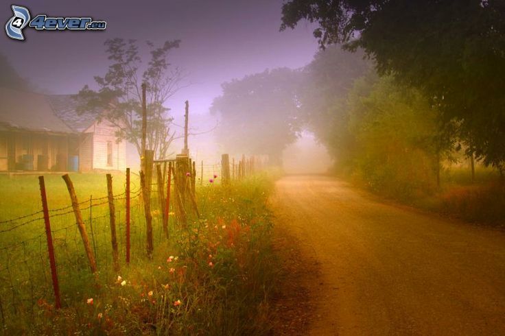 matin brumeux, route, clôture, maison