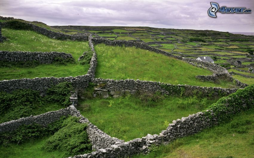 murs de pierre, prairie, Irlande