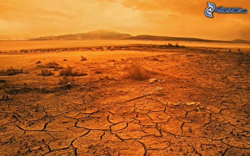 paysage aride du désert
