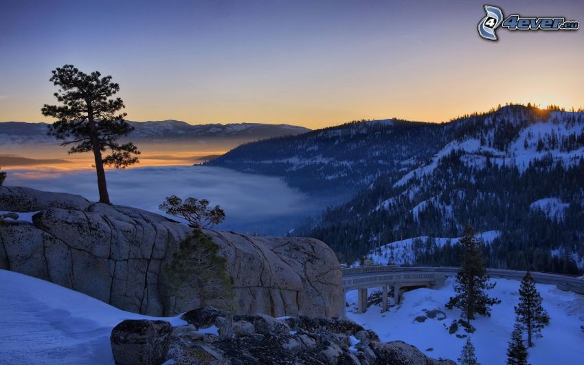 paysage d'hiver, après le coucher du soleil, arbre sur un rocher, route, neige, couche d'inversion, forêt de conifères