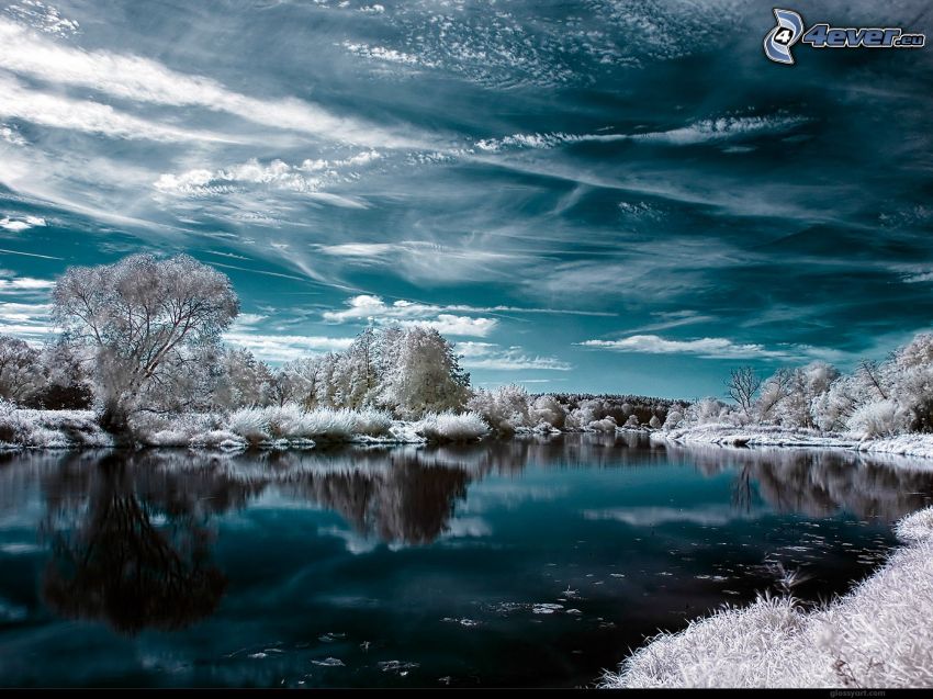 paysage d'hiver, arbres enneigés, rivière, ciel
