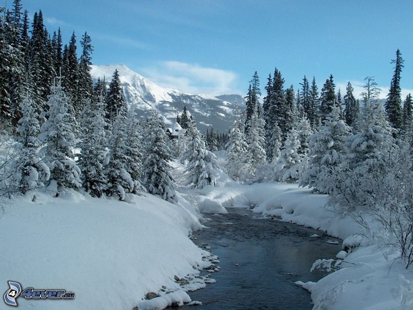 paysage d'hiver, neige, ruisseau