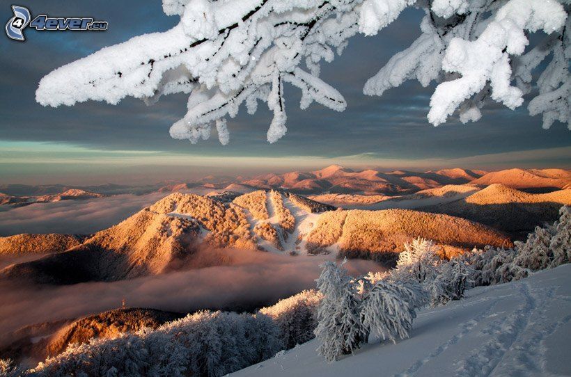 paysage enneigé, traces dans la neige, coucher de soleil dans les montagnes, collines, branches
