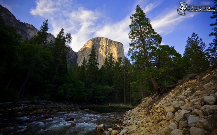 Rivière dans Parc national de Yosemite, El Capitan, ruisseau, arbres conifères, montagnes rocheuses, pierres