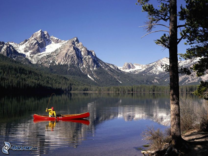 Stanley Lake, pêcheur, Sawtooth Mountains, bateau, montagnes