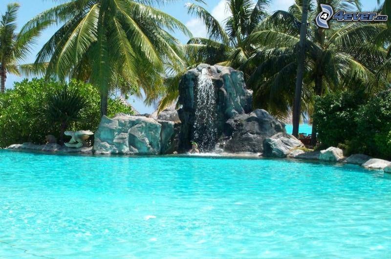 tropique, piscine, eau, fontaine, palmiers