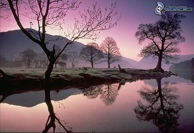 violet coucher de soleil, silhouettes d'arbres, eau