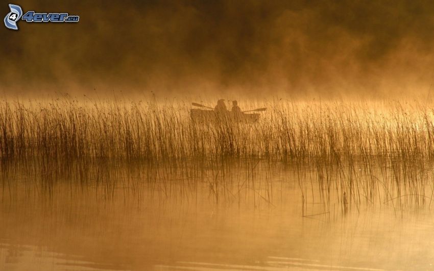 pêche, lac, bateau, matin brumeux