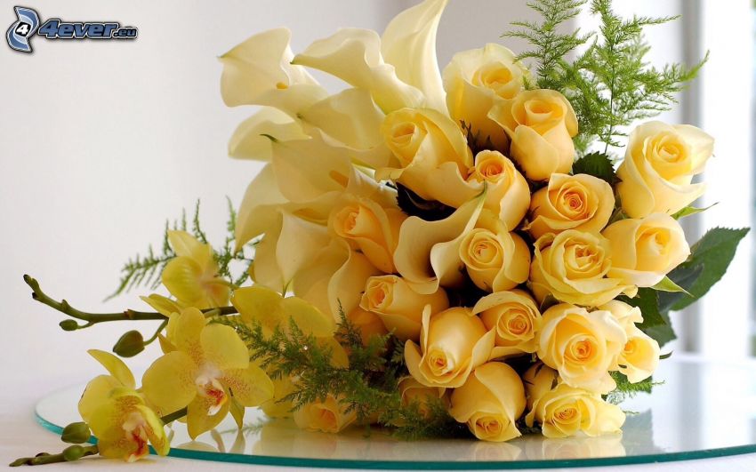 bouquet, roses jaunes, orchidées
