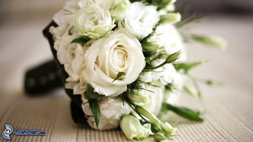 bouquet de mariage, roses blanches