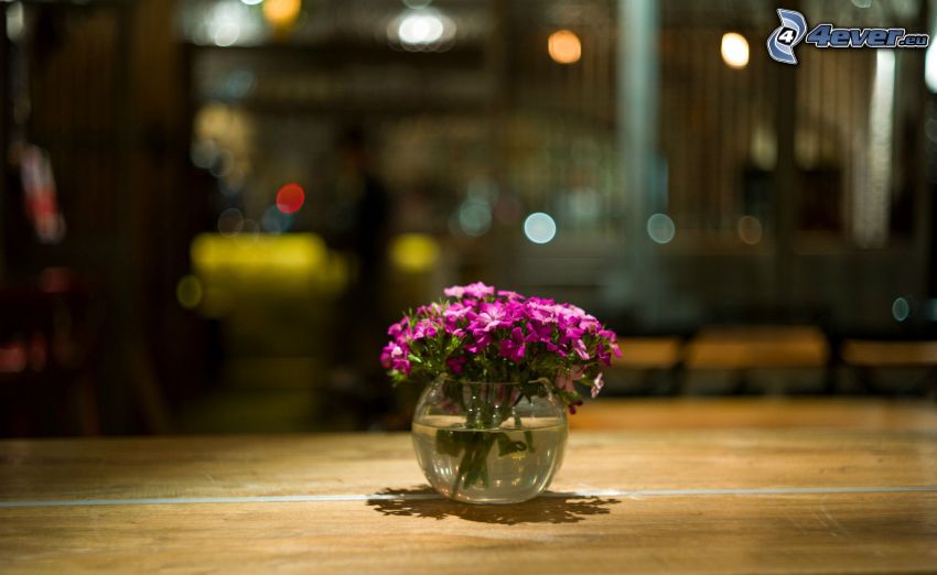 fleurs dans un vase, fleurs violettes