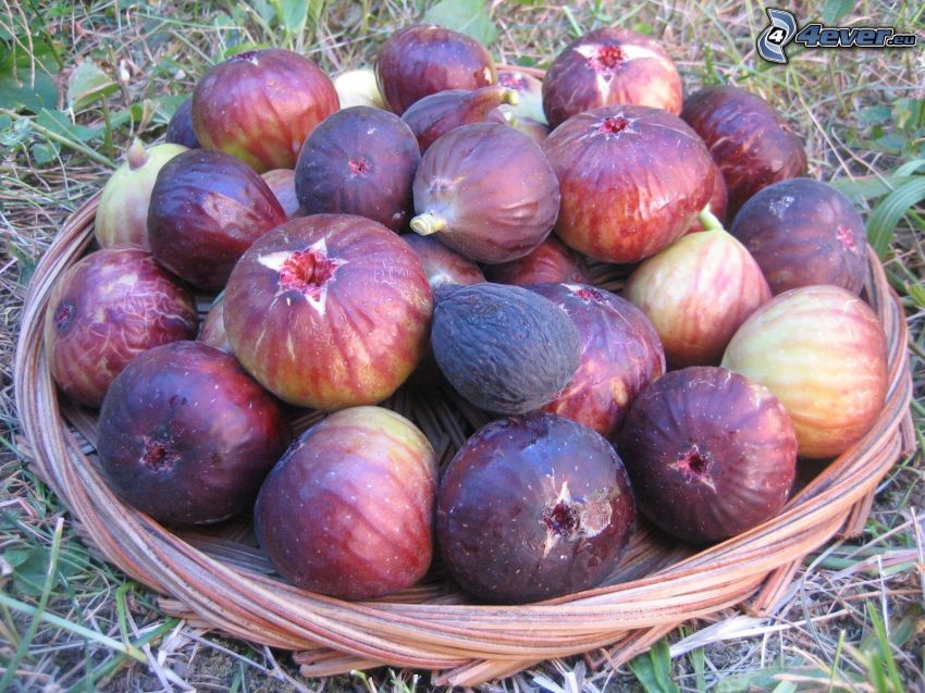 figues, panier