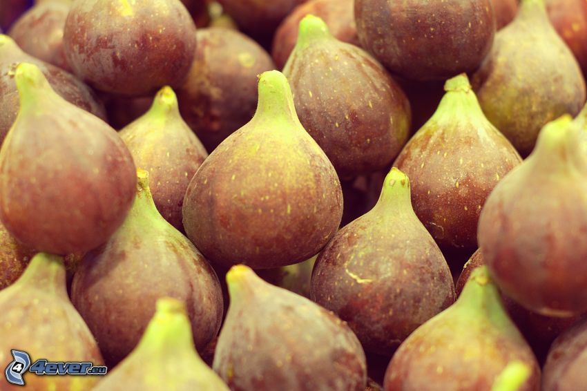 figues