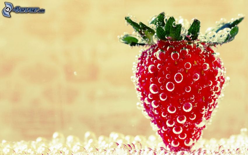 fraise, bulles