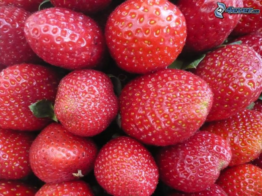 fraises, fruits