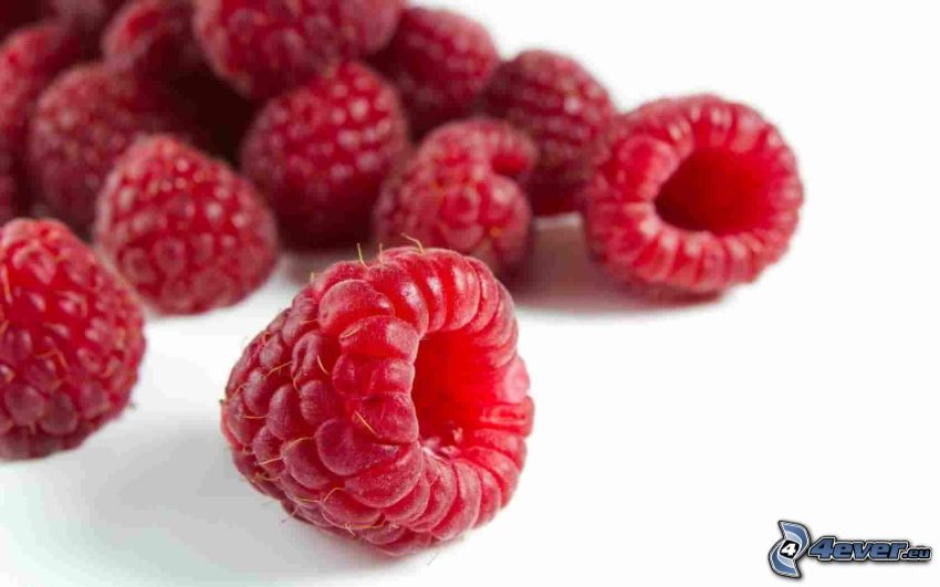 framboises