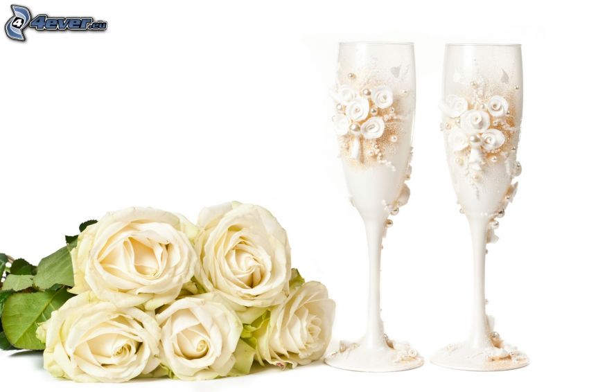 roses blanches, verres