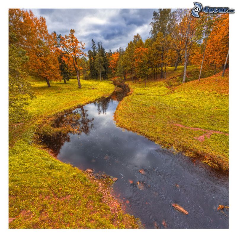 ruisseau, des arbres d'automne coloré