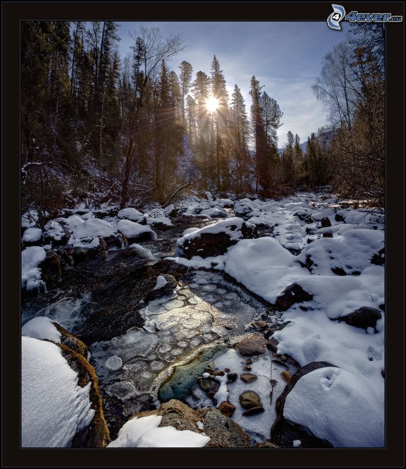 ruisseau de forêt, neige, rayons de soleil dans la forêt