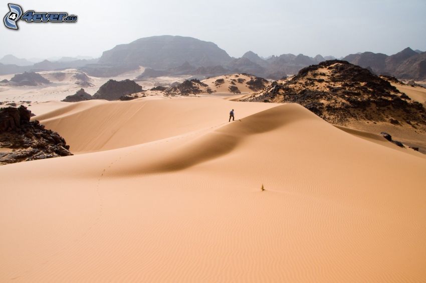 Sahara, dunes de sable, humain