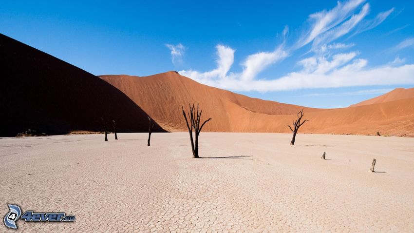 Sossusvlei, dune de sable, arbres secs, fissures