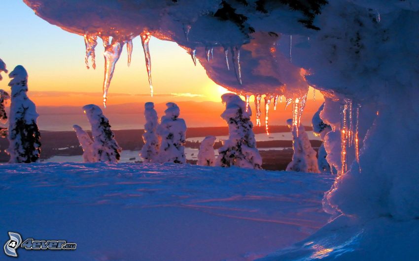 stalactite de glace, arbres gelés, neige