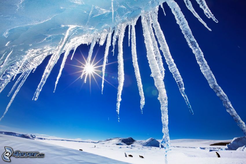 stalactite de glace, soleil, paysage enneigé
