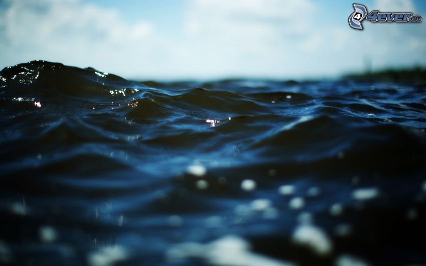 surface de l'eau