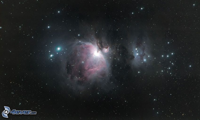 Nébuleuse d'Orion, étoiles