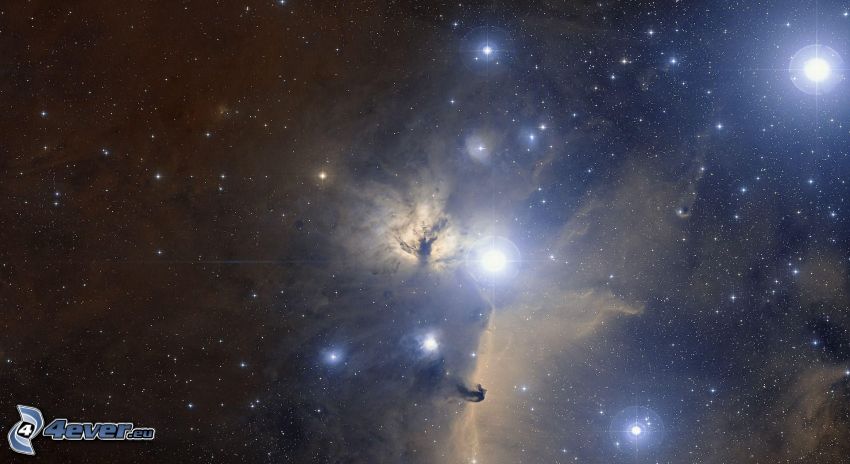 Nébuleuse d'Orion, étoiles