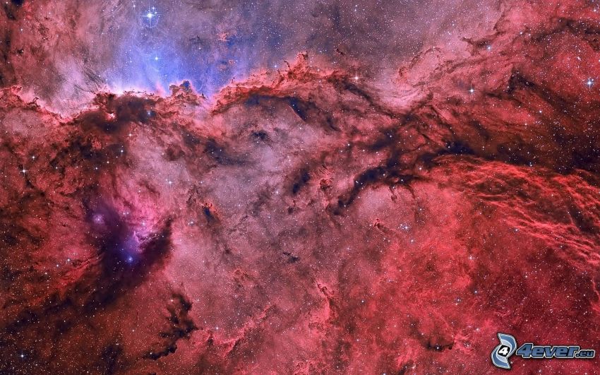 nébuleuses, NGC 6188, étoiles