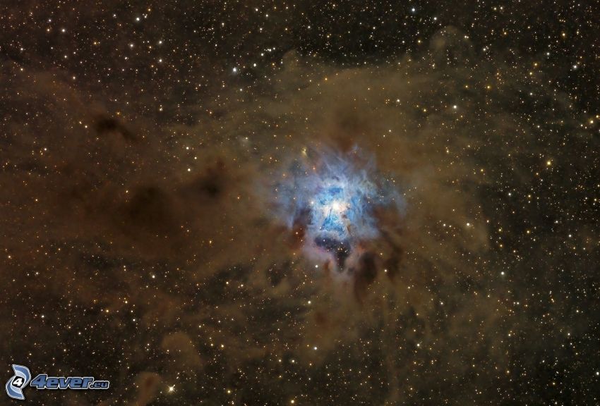 NGC 7023, nébuleuse, Iris Nebula