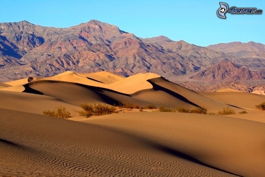 Vallée de la Mort, montagne, dunes de sable