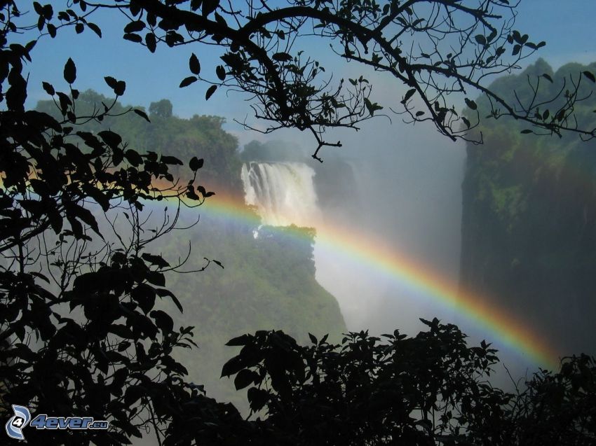 Victoria Falls, arc en ciel, feuilles