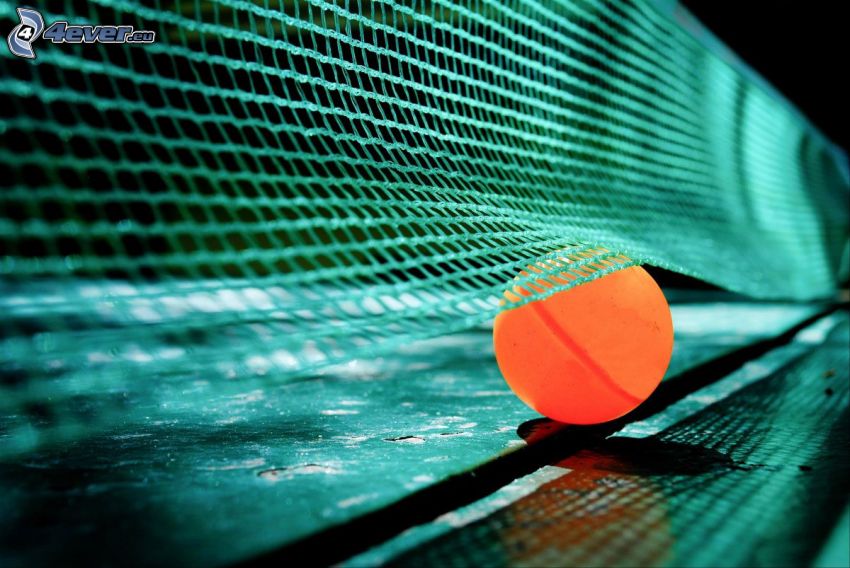 balle, réseau, tennis de table