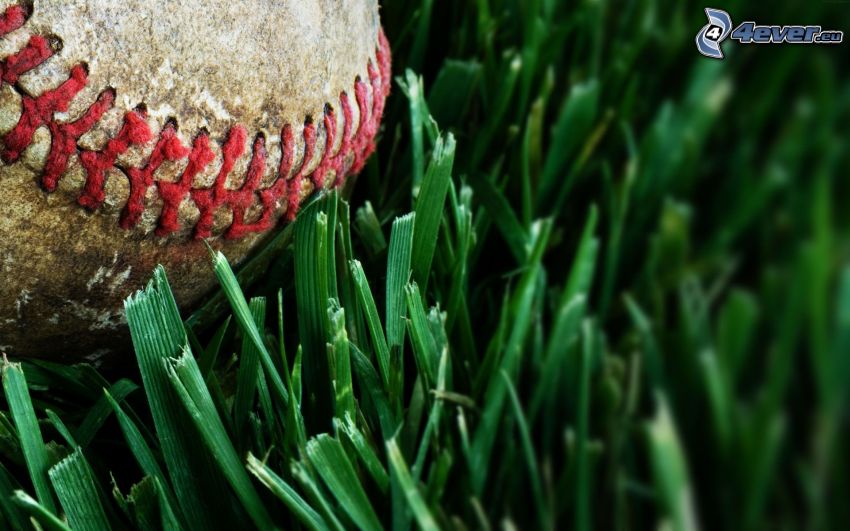 balle de baseball, l'herbe