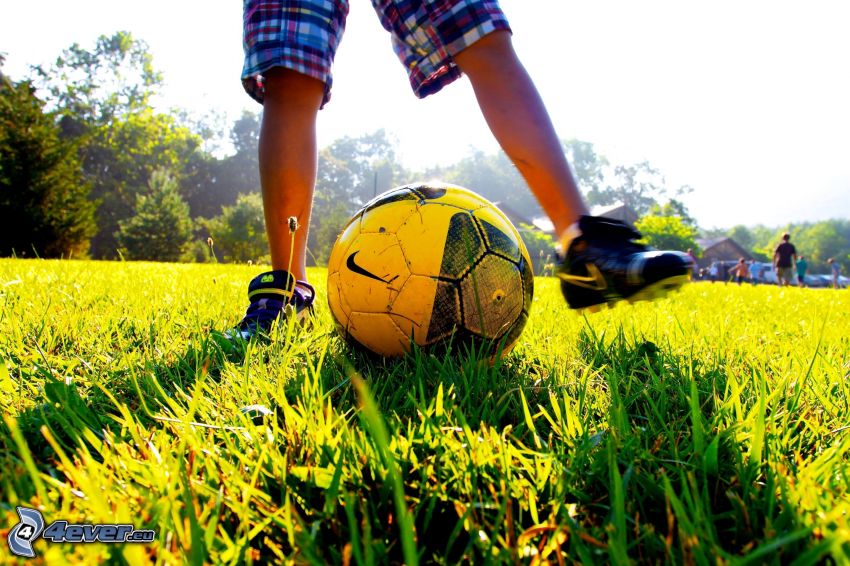 jambes, balle, football