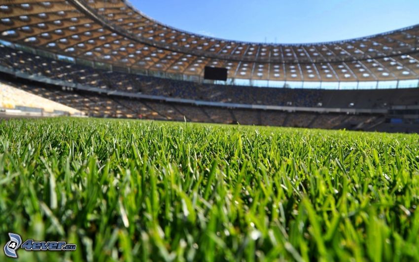 terrain de football, stade