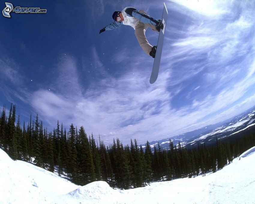 snowboard saut, l'adrénaline, neige, forêt de conifères, nuages