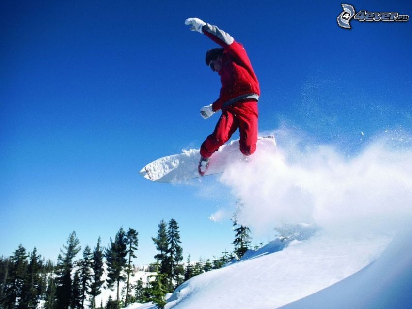 snowboard saut, neige, forêt, acrobatie