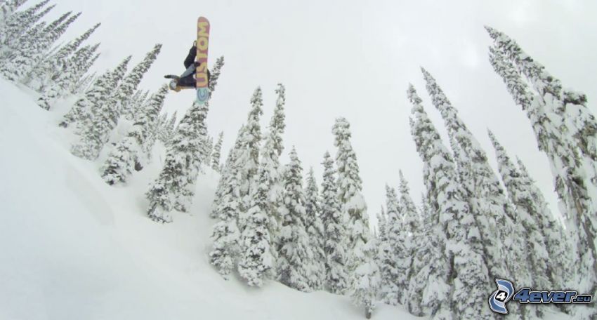 snowboarding, saut, arbres enneigés