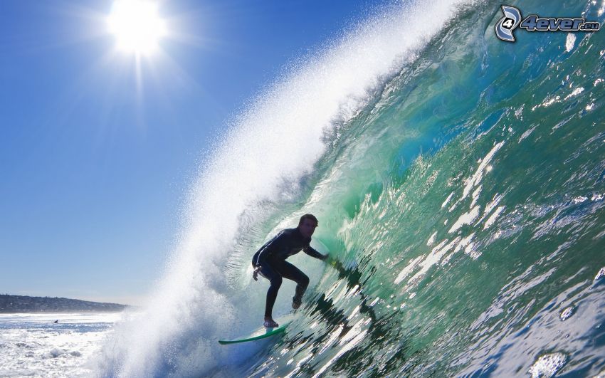 surf, vague, soleil