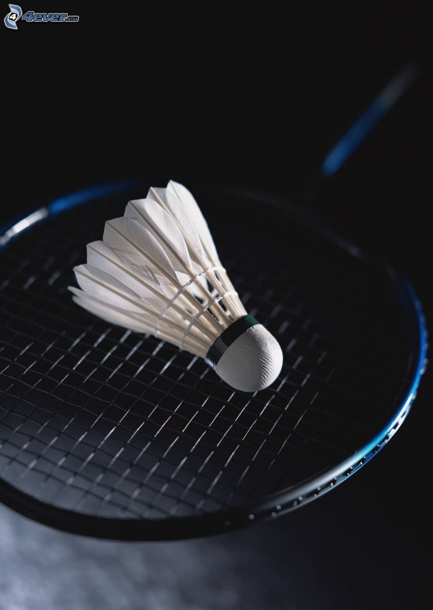 volant bedminton, raquette de badminton