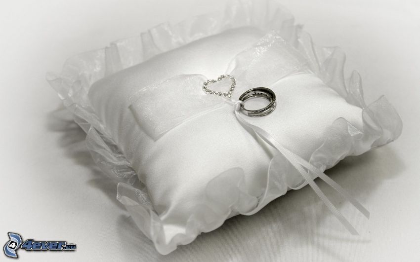 anneaux de mariage, cœur, oreiller, photo noir et blanc