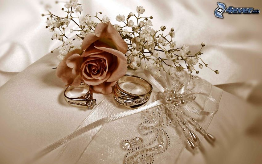 anneaux de mariage, rose