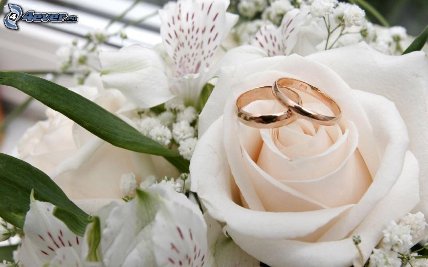 anneaux de mariage, Rose blanche, lys