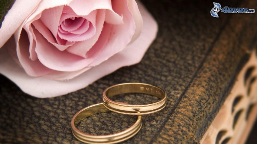 anneaux de mariage, rose rose