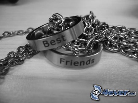 Best Friends, bracelet, collier, accessoir