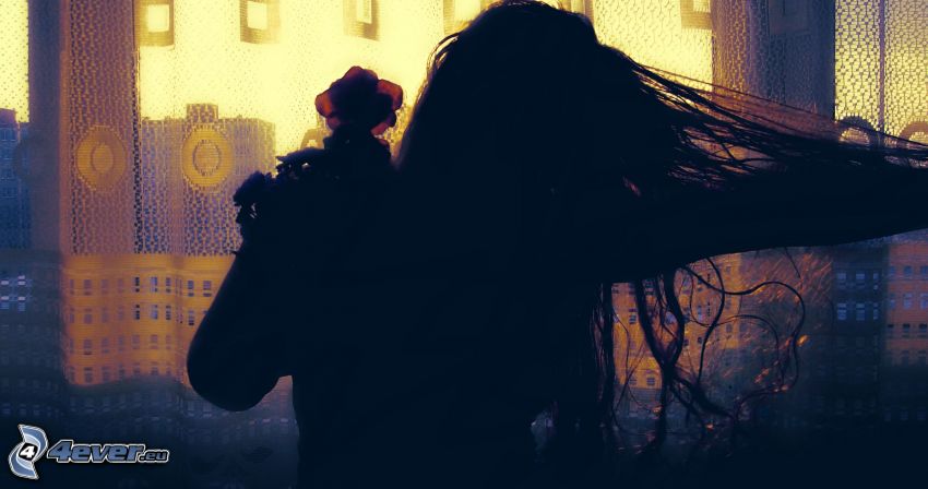 silhouette de femme, fleur, fille, cheveux, ville, cheveux soufflés